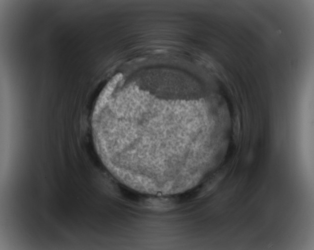 X0000083050367200703022116