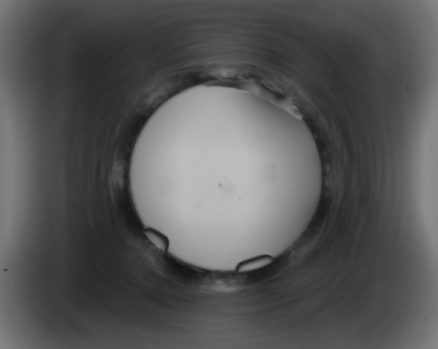 X0000083050368200703022116