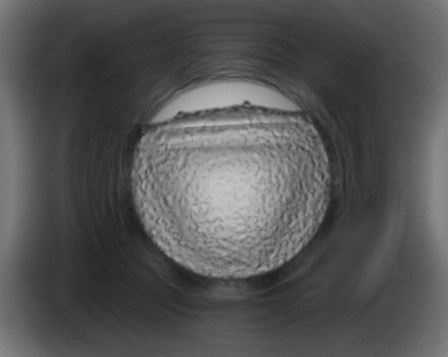 X0000083050369200703022116