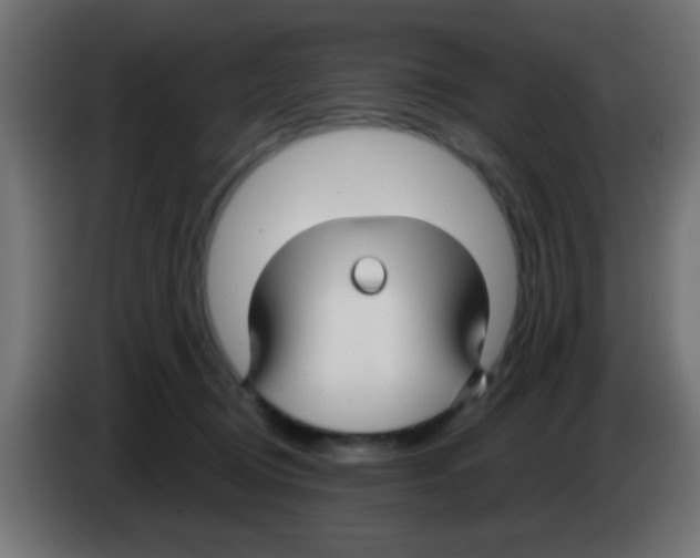 X0000083050370200703022116