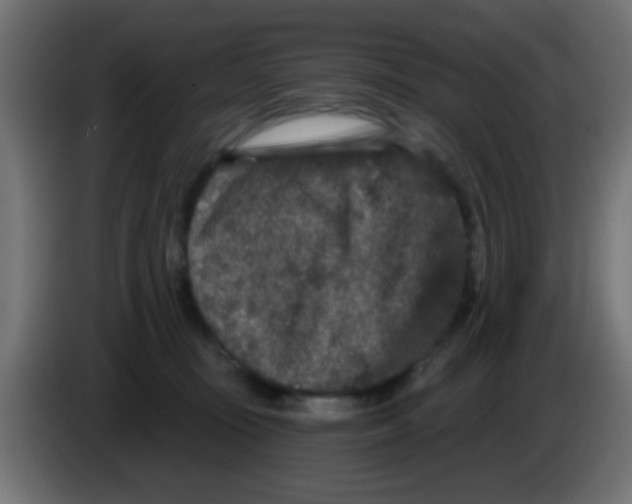 X0000083050371200703022116