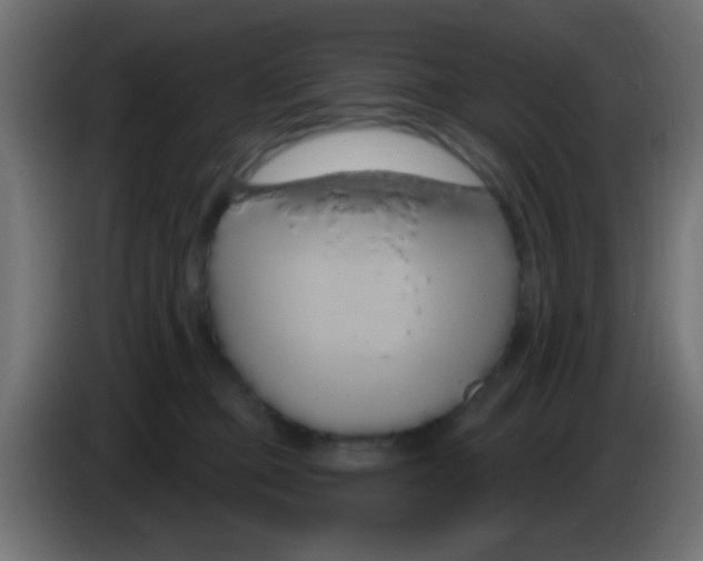 X0000083050373200703022116