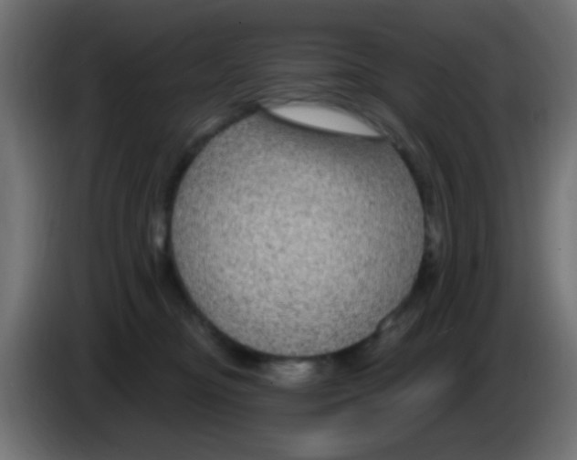 X0000083050374200703022116