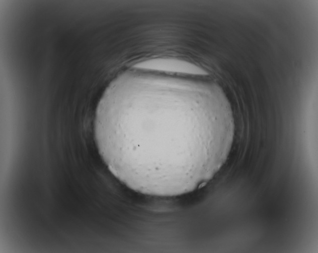 X0000083050375200703022116