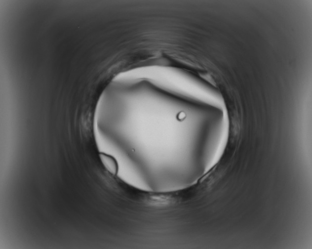 X0000083050376200703022116