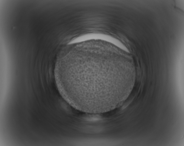 X0000083050377200703022116