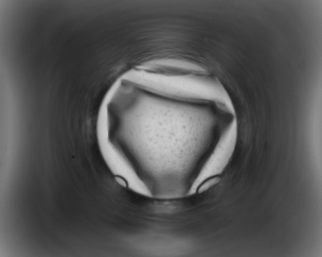 X0000083050378200703022116