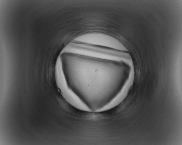 X0000083050379200703022116