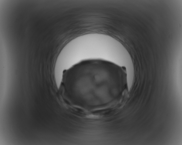 X0000083050380200703022116