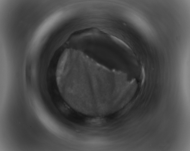 X0000083050383200703022116