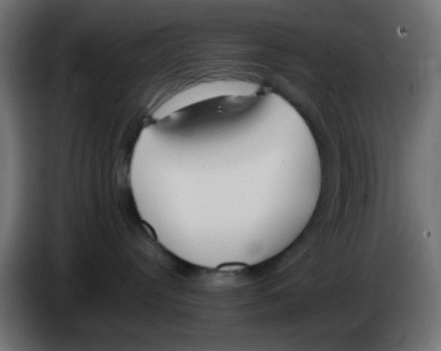 X0000083050384200703022116