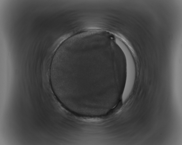 X0000083050385200703022115