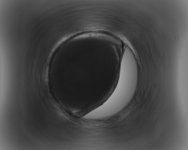 X0000083050387200703022115