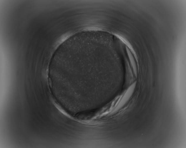 X0000083050389200703022115