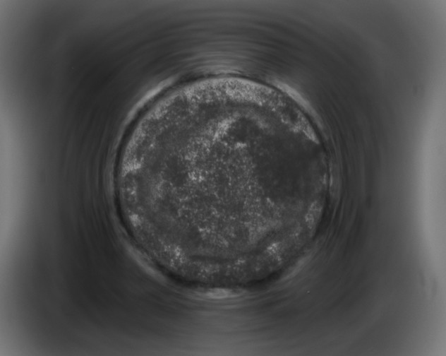 X0000083050390200703022115