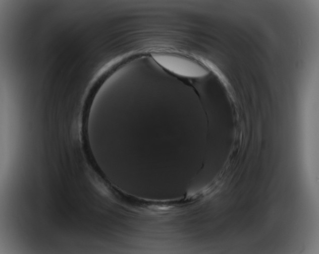 X0000083050391200703022115