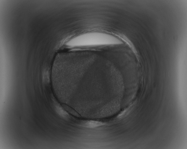 X0000083050393200703022115