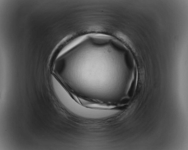 X0000083050395200703022115