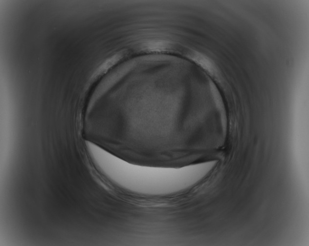 X0000083050397200703022115