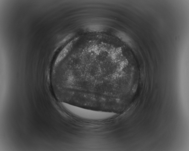 X0000083050398200703022115