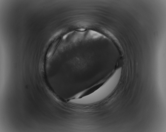 X0000083050399200703022115