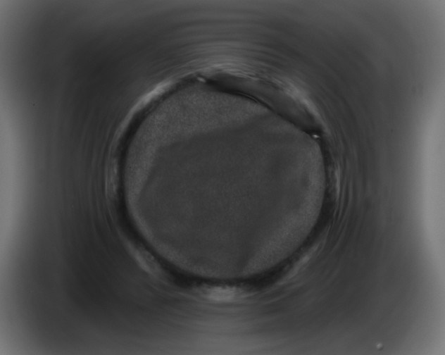 X0000083050400200703022115