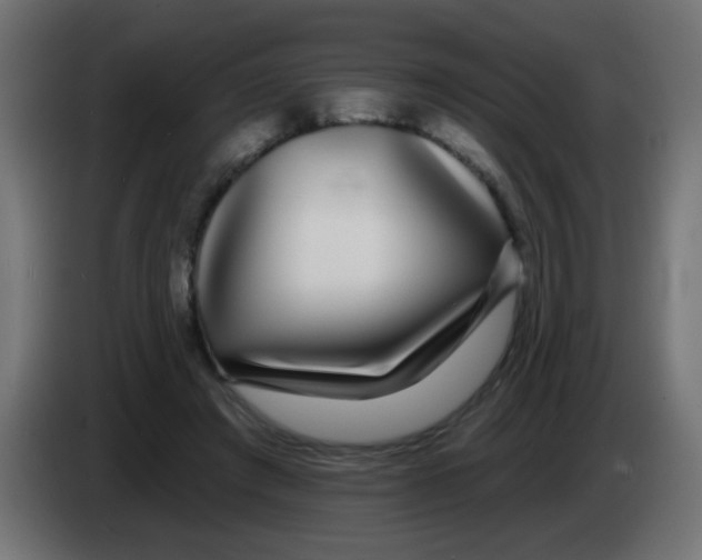 X0000083050401200703022115