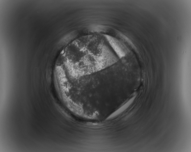 X0000083050402200703022115