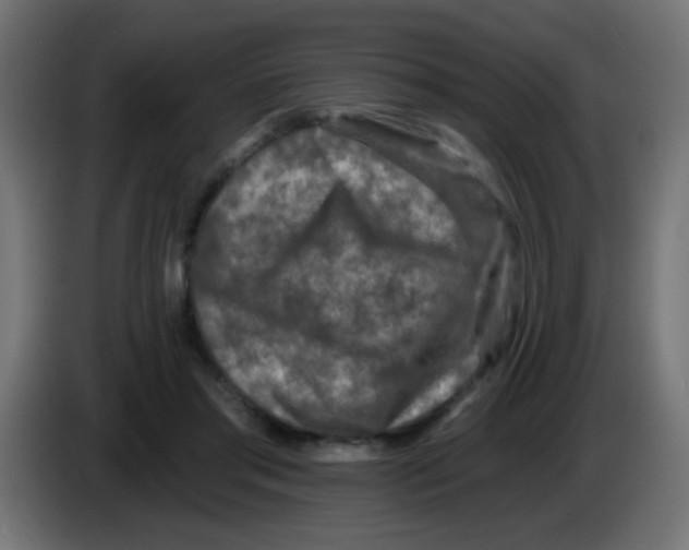 X0000083050405200703022115