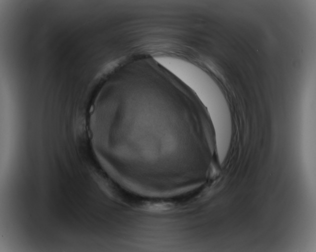 X0000083050407200703022115