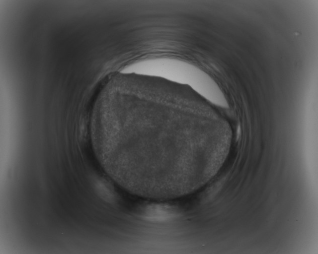 X0000083050408200703022115