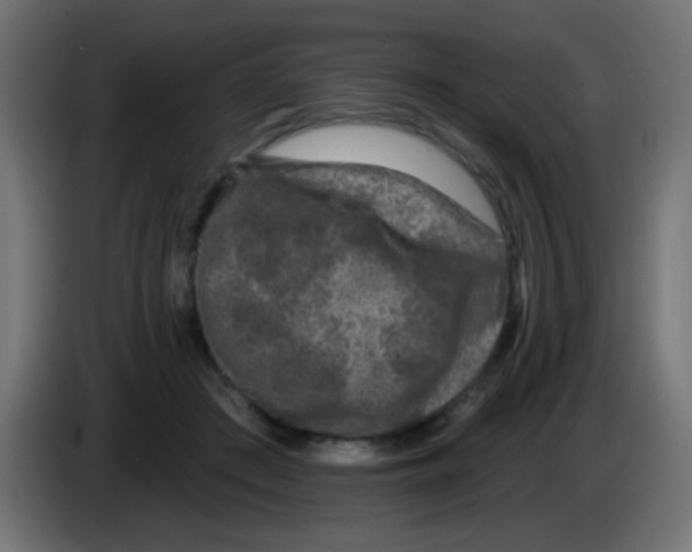 X0000083050409200703022115