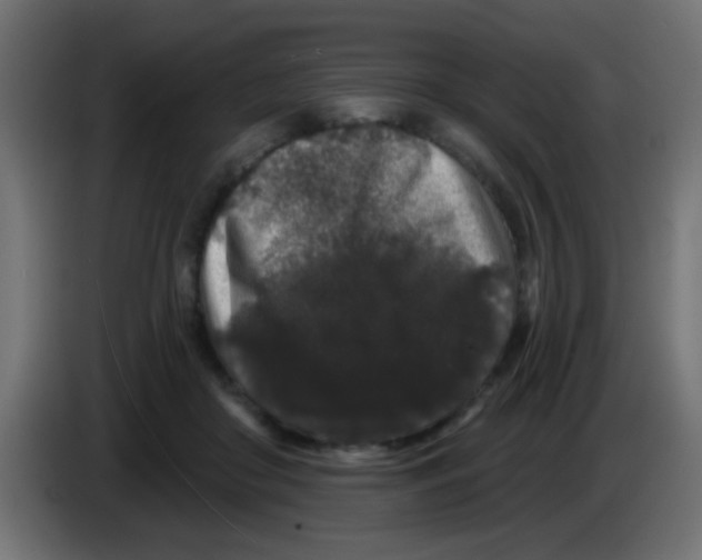 X0000083050410200703022115