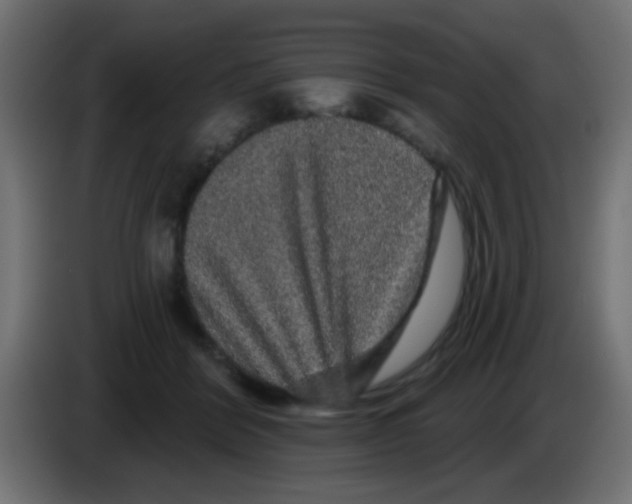 X0000083050412200703022115