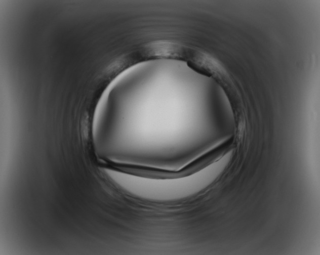 X0000083050413200703022115