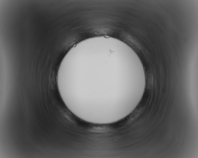 X0000083050414200703022115