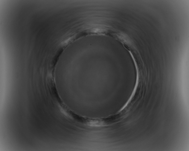 X0000083050415200703022115