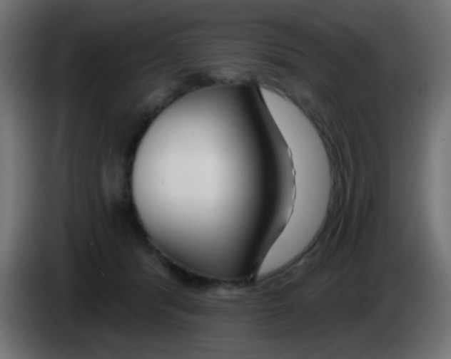 X0000083050416200703022115