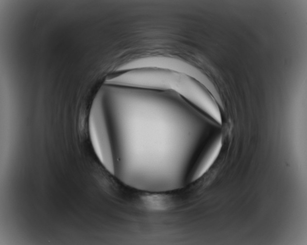 X0000083050417200703022115