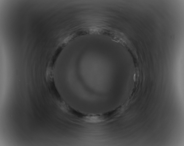 X0000083050419200703022115