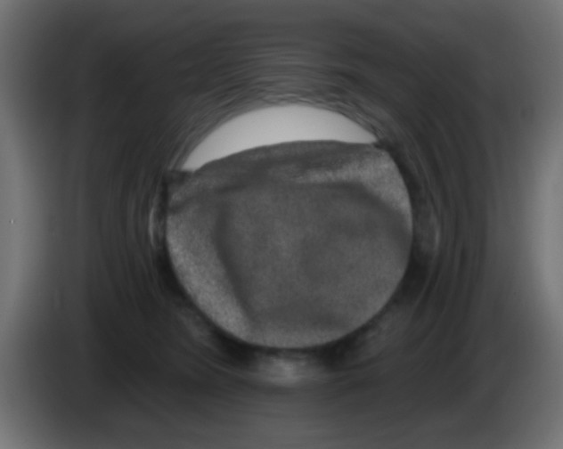 X0000083050420200703022115