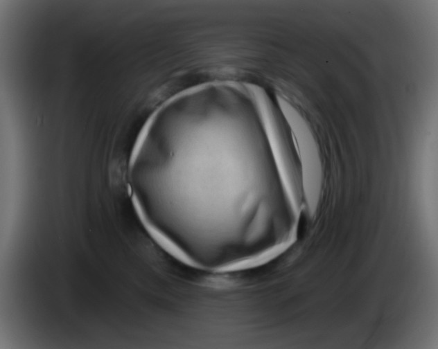 X0000083050425200703022115