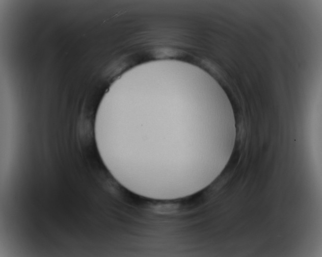 X0000083050426200703022115