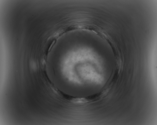 X0000083050427200703022115