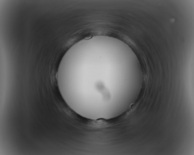 X0000083050429200703022115