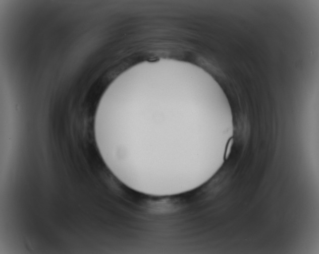 X0000083050430200703022115