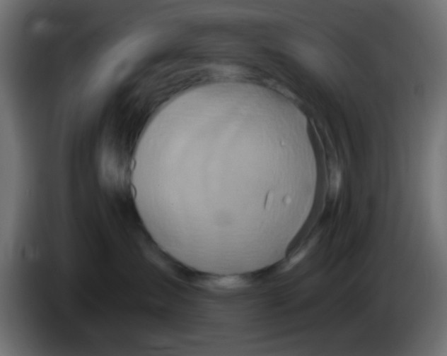 X0000083050431200703022115