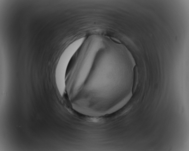 X0000083050432200703022115