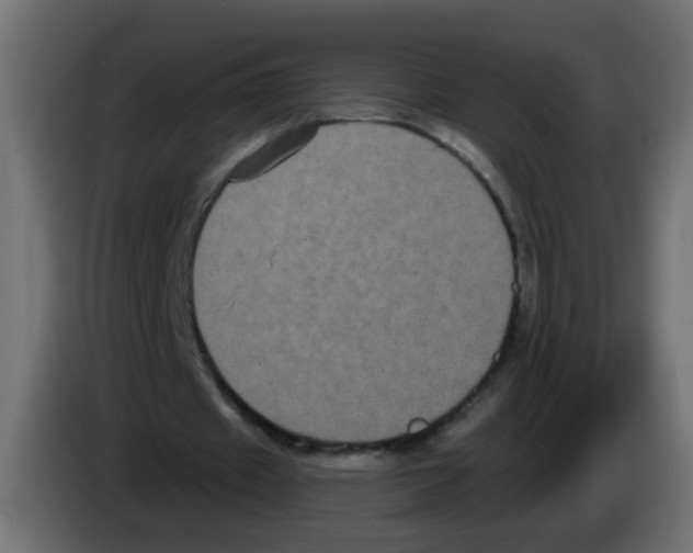 X0000083050433200703022114