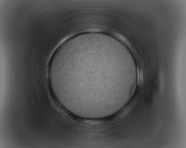 X0000083050435200703022114